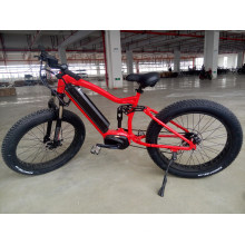 Ce Certified Electric Cycle Electric Mountain Fat Bike